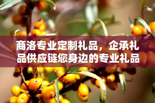 商洛专业定制礼品，企承礼品供应链您身边的专业礼品定制公司