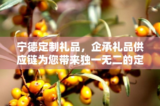 宁德定制礼品，企承礼品供应链为您带来独一无二的定制体验