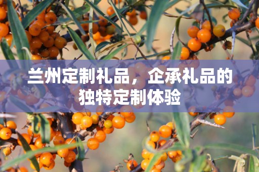 兰州定制礼品，企承礼品的独特定制体验